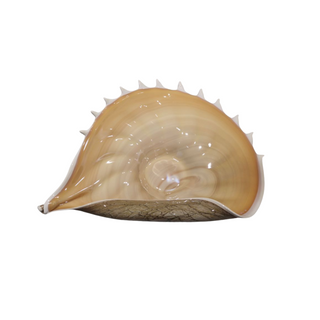 Rare Vintage Polish Art Glass Conch Shell Bowl by Jozefina for Krosno