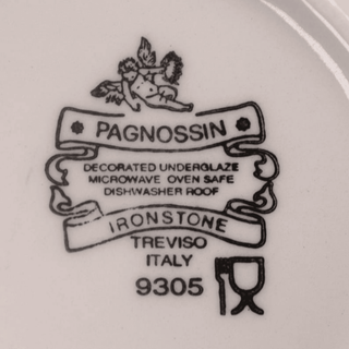 Pagnossin Ironstone Treviso Underglaze Dinnerware Plate in Spa Orange w/Blue Trim