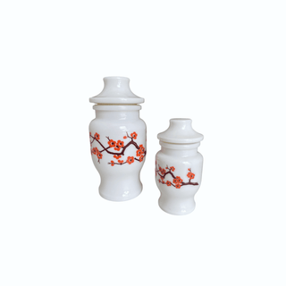 Set of 2 Ariel Hermetic Opaline Jars with Cherry Blossom Branch Motif, Made in Belgium