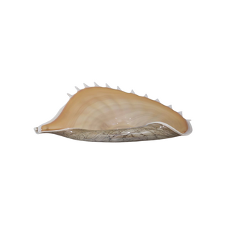 Rare Vintage Polish Art Glass Conch Shell Bowl by Jozefina for Krosno