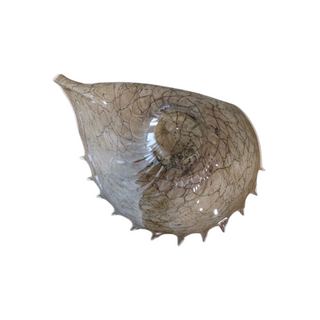 Rare Vintage Polish Art Glass Conch Shell Bowl by Jozefina for Krosno