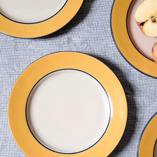 Pagnossin Ironstone Treviso Underglaze Dinnerware Plate in Spa Orange w/Blue Trim