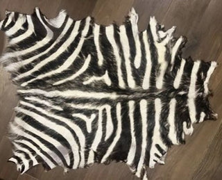 Decorative Animal Zebra Hide, Genuine Hide, Luxurious Rug in Excellent Used Condition