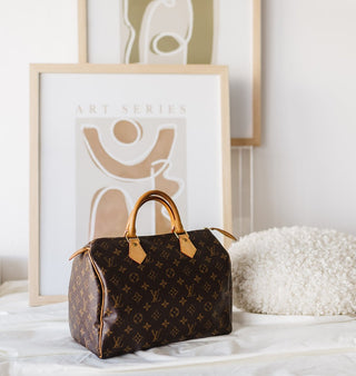 Louis Vuitton Speedy 30 Bag styled with Art and Soft Furnishings