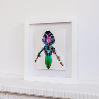 Renato Grome Framed Contemporary Fine Art Photography Print Titled 'ALIEN' in Very Good Used Condition 